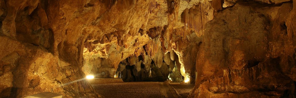 Il corridoio Franchetti e la sala del salice piangente